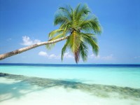 Dva dny v Tropical Island/Islands