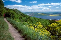 Pavlovské vrchy