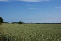 pohled ke Kap Arkona