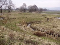 Vrážné