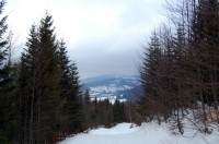 Cesta po černé turistické značce. Pohled směr údolí.