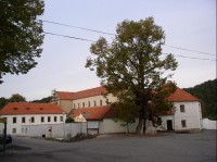 Zlatá Koruna
