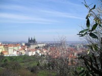 Pražský hrad