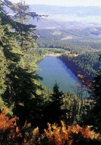 Plešné jezero