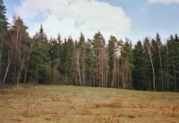 Čeřínek