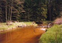 Říčka Dračice