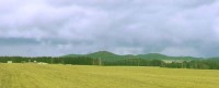 Kohout (kopec)