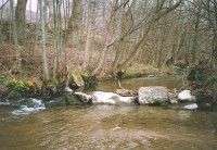 Stropnice