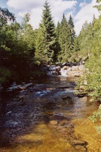 Mumlava: Mumlava pod Harrachovem