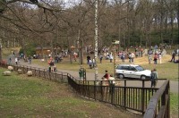 Podkrušnohorský zoopark