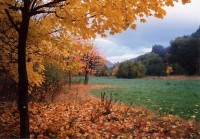 Bezručovo údolí