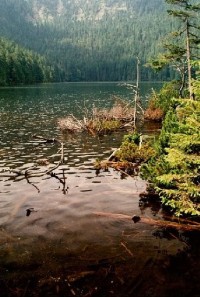 Černé jezero: na břehu Černého jezera