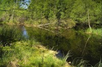 Kladská: Kladský rybník