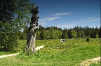 Kladská: naučná stezka