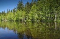 Kladská: Kladský rybník