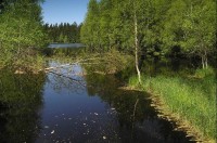 Kladská: Kladský rybník