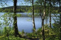 Kladská: Kladský rybník