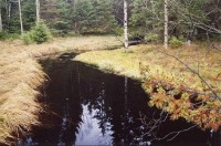 Kladská: Kladský rybník