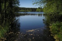 Kladská: Kladský rybník