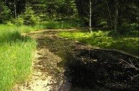 Kladská: Kladský rybník