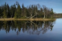 Nový rybník