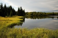 Nový rybník