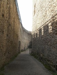 Kokořín
