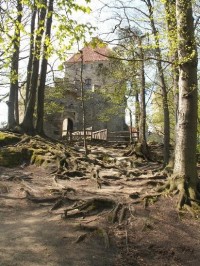 Kokořín