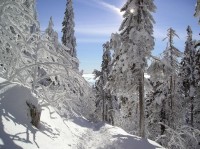 Lysá hora