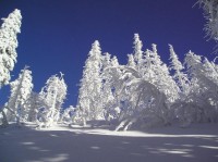 Lysá hora