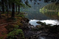 Černé jezero: na břehu