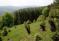 Beskydy