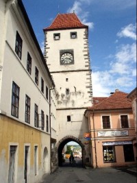 věž