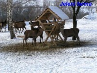 Jelení farma - Ječmeniště