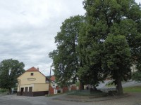 březina