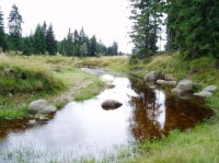 Černá Nisa