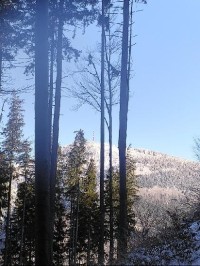 Lysá hora