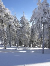 Lysá hora