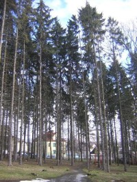 Ostrava - Svinov: park