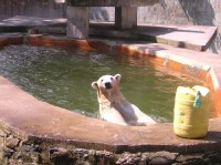 ZOO Ostrava