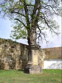 Budyně nad Ohří