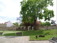 Budyně nad Ohří