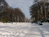 Ústřední cesta - pohled směr Vypich 2