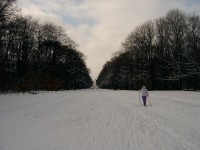 Ústřední cesta - pohled směr letohrádek