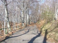 Slavkovský les - CHKO