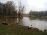 Soutok s Cidlinou 1