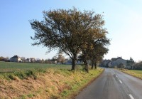 Veliš - obec