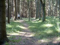 Mohylové pohřebiště