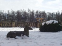 zámek