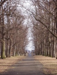park v zimě